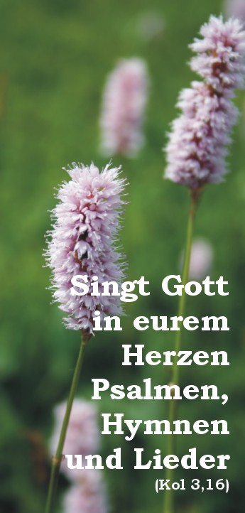 per Klick zu den Bibeltexten