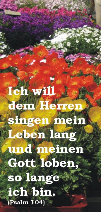 per Klick zu den Bibeltexten